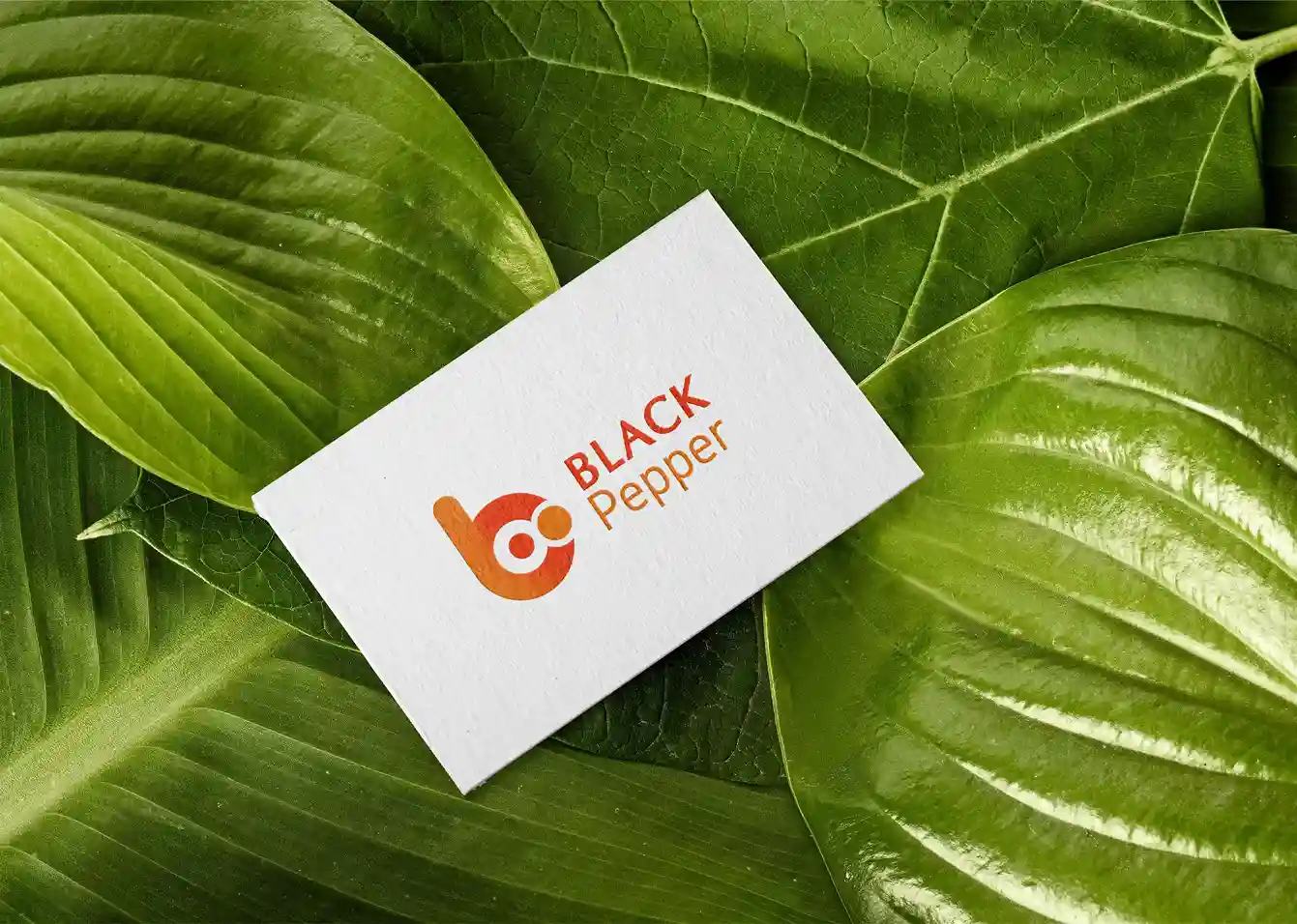 Logo Design