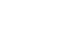 Nandu – Client Logo of Spark Studios