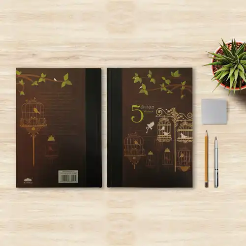 Animation and Web Design Company