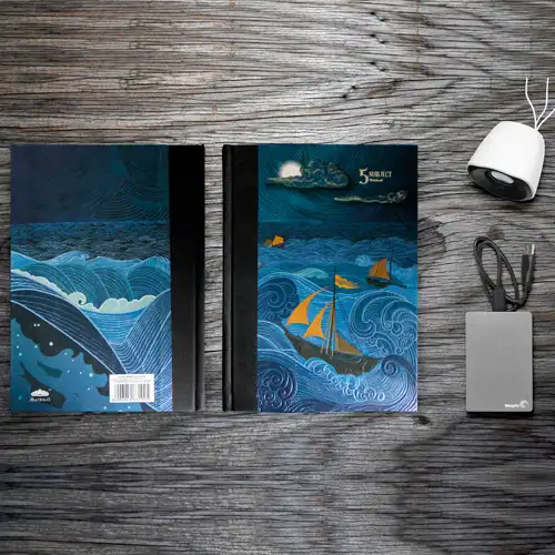 Animation and Web Design Company