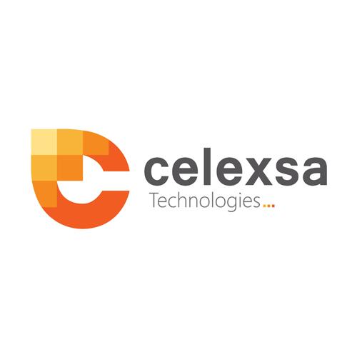 Animation and Web Design Company