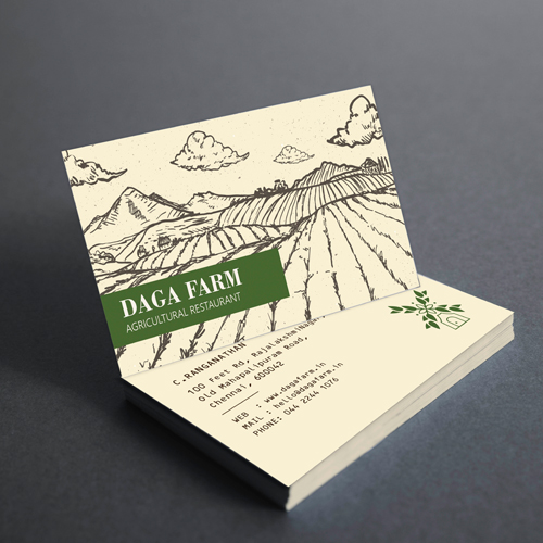 Animation and Web Design Company