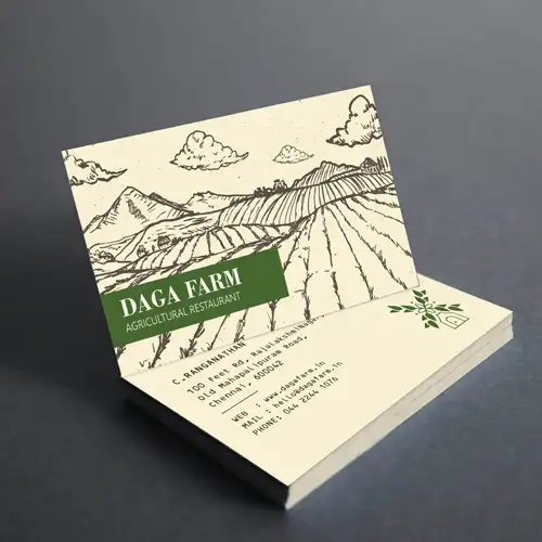Animation and Web Design Company