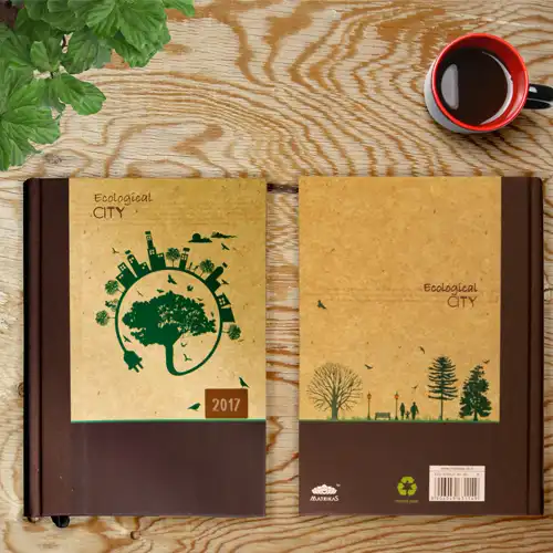 Animation and Web Design Company
