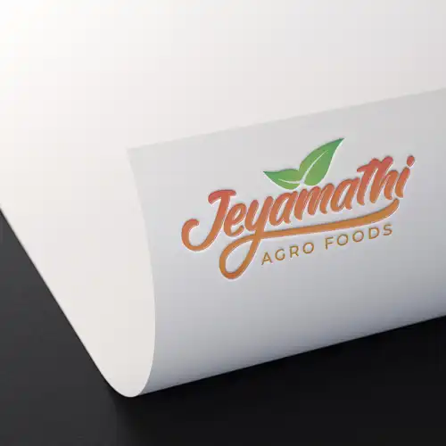 Animation and Web Design Company