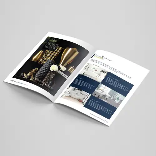 Animation and Web Design Company